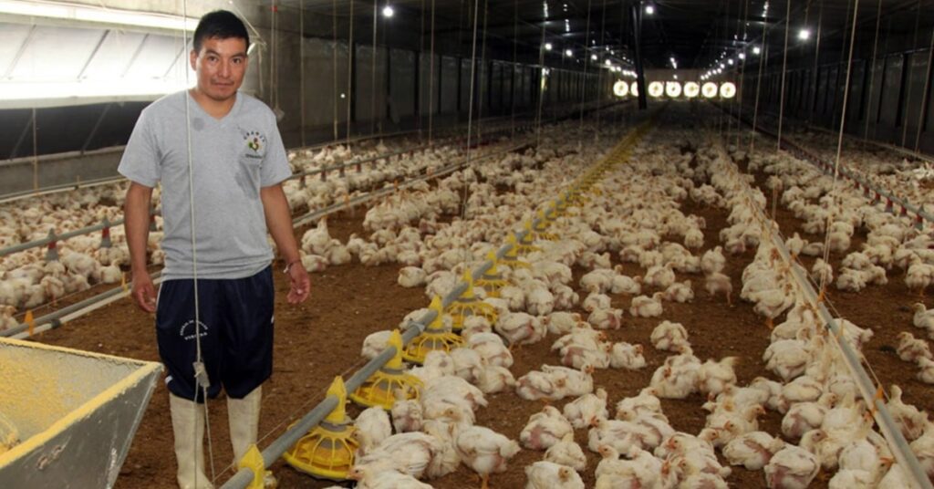 Ayudantes y Trabajadores de Granjas