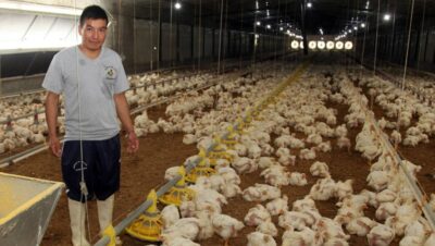 Ayudantes y Trabajadores de Granjas