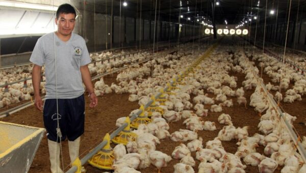 Ayudantes y Trabajadores de Granjas